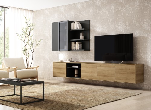 Muebles TV