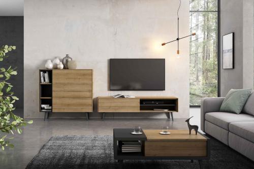 Muebles TV